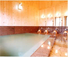 渋温泉 渋ホテル - 長野県