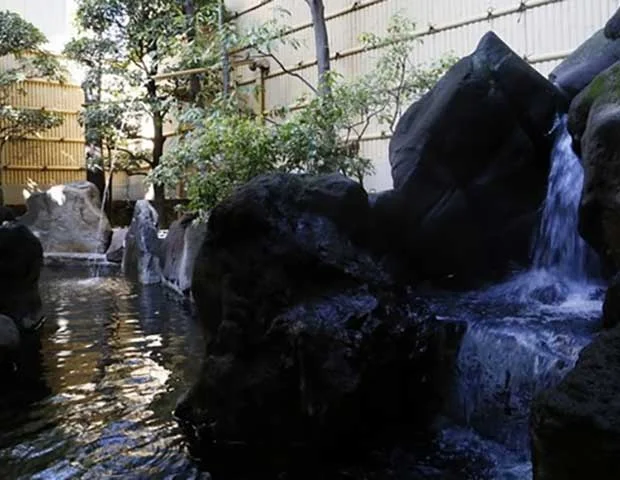 シャトレーゼホテル　旅館　富士野屋(旧富士野屋 夕亭)