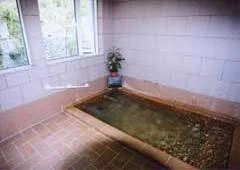 Ashiyasu Onsen ALPEN GASTHOF Rantan - Yamanashi