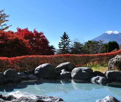 フォトアルバム4