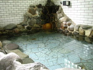 Yamanakako Kosuitei Takamura - Yamanashi