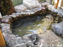 丸金旅館