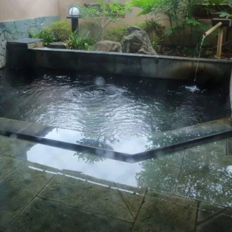 湯村温泉 湯志摩の郷 楽水園