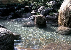 Dai-sen Kogen Yatsugatake Royal Hotel - Yamanashi
