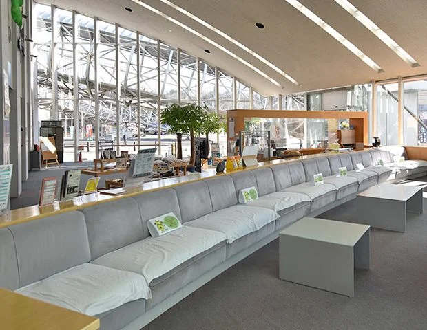 ゆ～ぷるにらさき