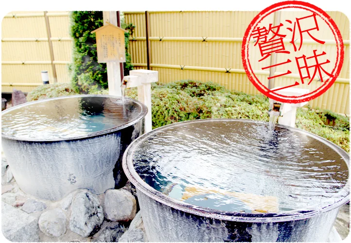 多摩源流 小菅の湯