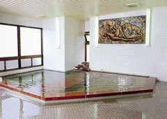 Iwahashi Onsen Hotel Heisei (BBH Hotel Group) - Yamanashi