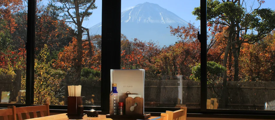 トップメイン画像5