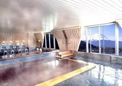 Fujikawaguchiko Onsen Hotel New Century - Yamanashi