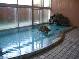 桃の木温泉 本館桃栄館(閉館しました)