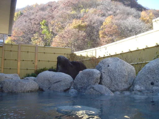 白州塩沢温泉 フォッサ マグナの湯