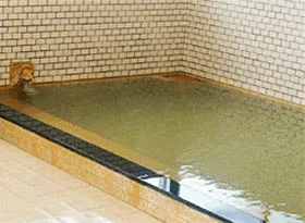 湯の川温泉　新松(閉館しました)