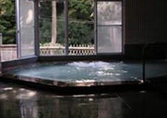 Kagamiyu Onsen, Shimobe - Yamanashi